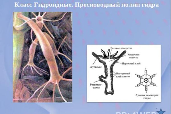 Кракен сайт ссылка онлайн