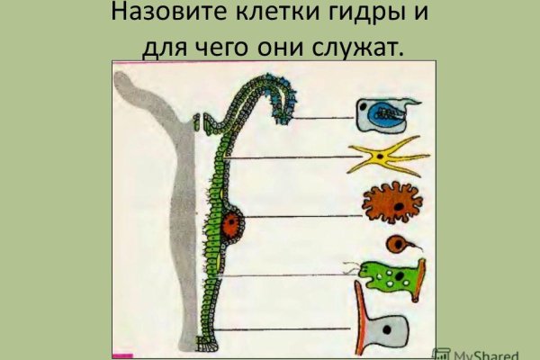 Кракен сайт магазин kraken clear com