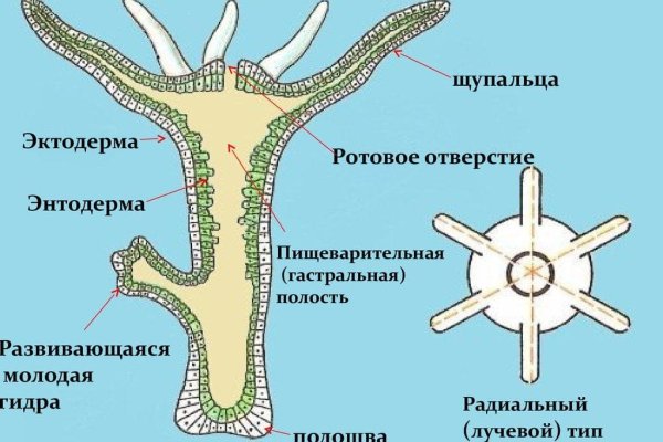 Где брать ссылки на кракен