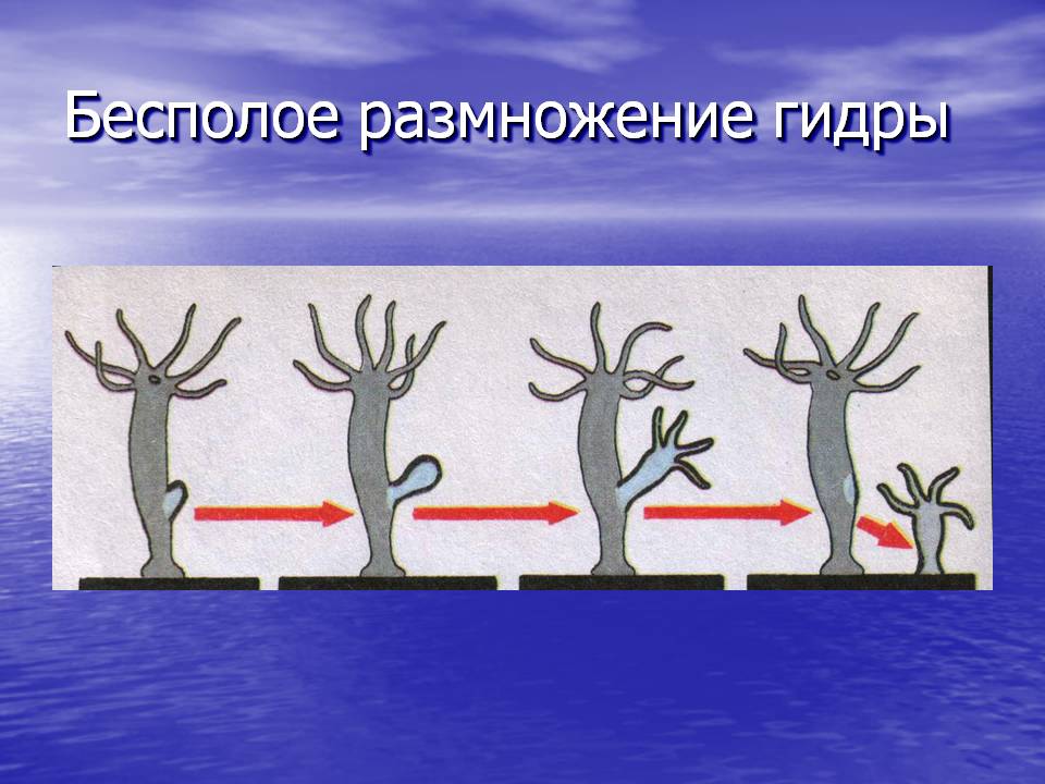 Кракен сайт kr2web in цены